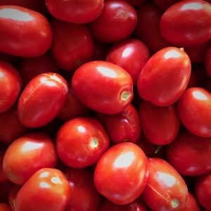 Tomate type Roma