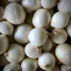 Oignons blanc