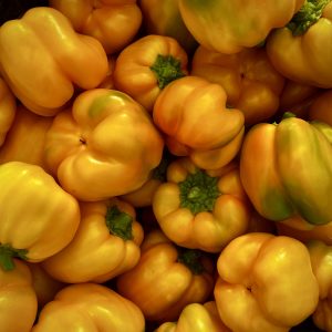 Poivron jaune